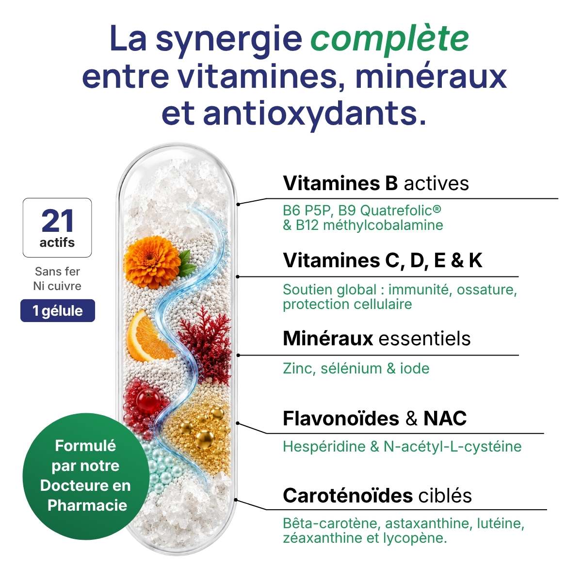 Schéma de la gélule Maxivits détaillant la synergie entre vitamines, minéraux et antioxydants (21 actifs sans fer ni cuivre). 