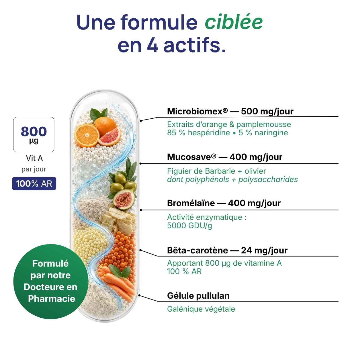 Schéma de la gélule Perméavits détaillant la synergie entre les ingrédients.