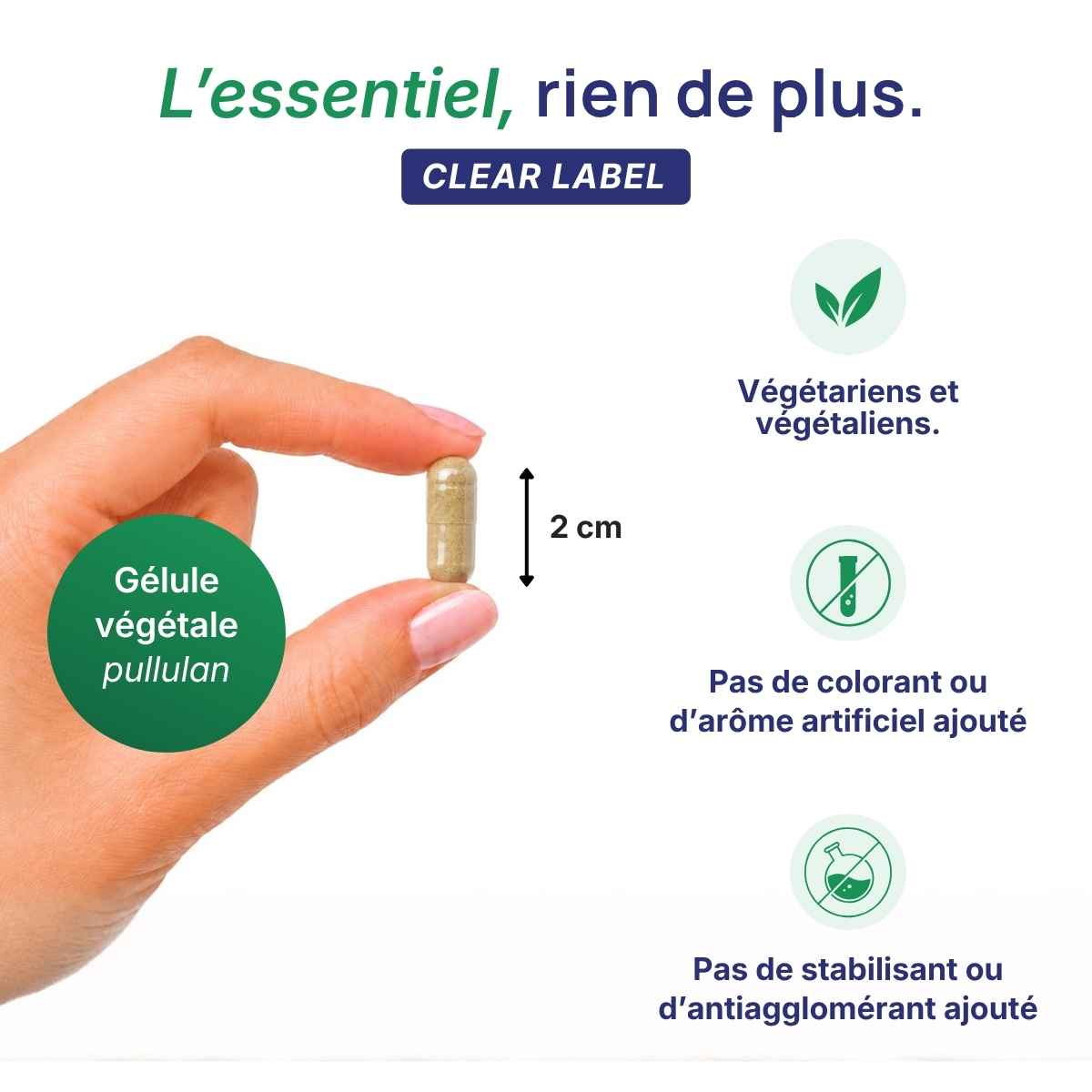 Main tenant une gélule végétale Perméavits Lepivits en pullulan de 2 cm, formule clear label sans colorant ni additif, végétariens.