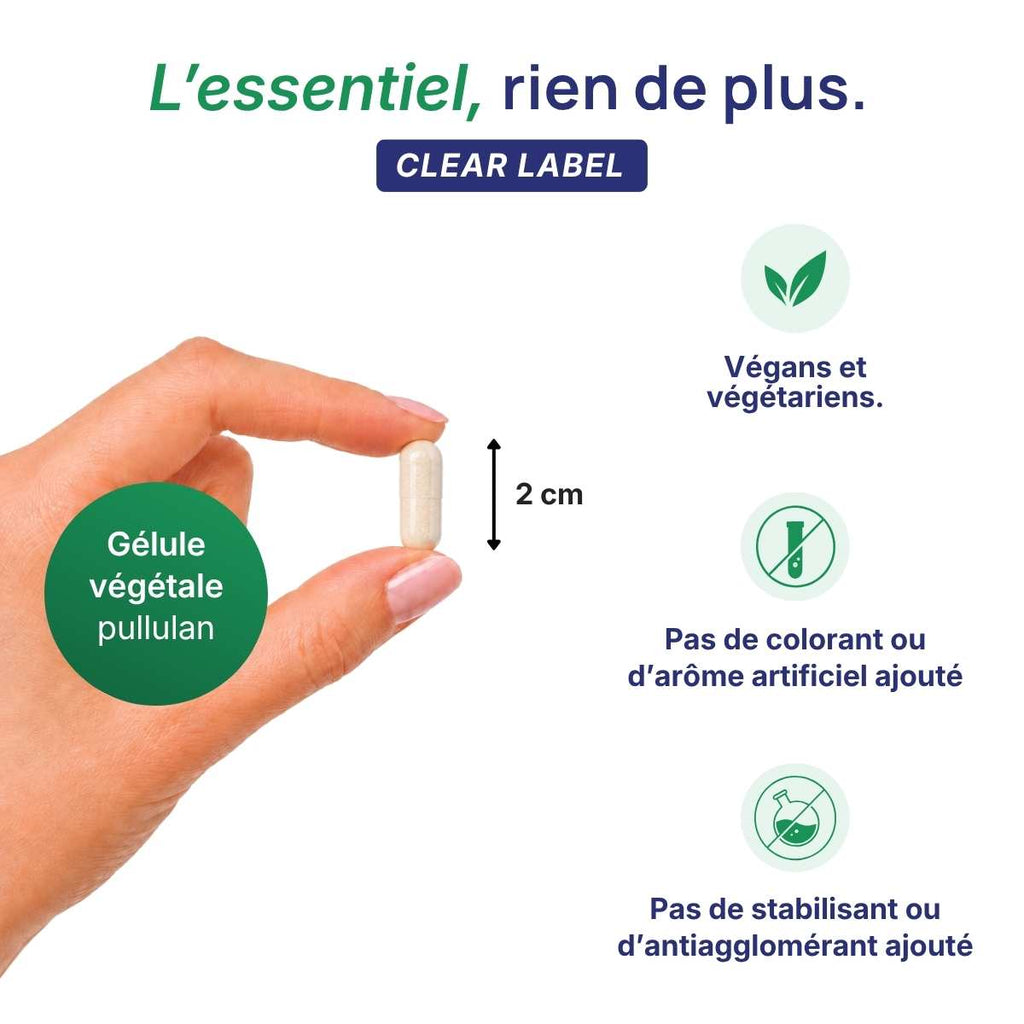Main tenant une gélule végétale Tyrosine max Lepivits en pullulan de 2 cm, formule clear label sans colorant ni additif, végétariens.