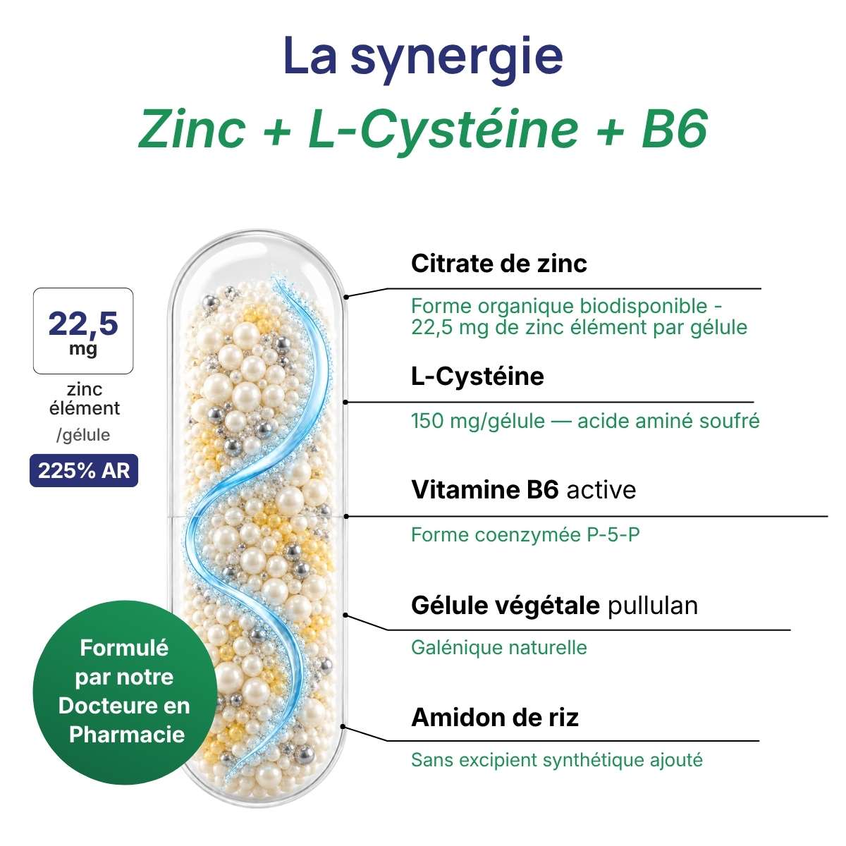 Schéma de la gélule Zinc Forte détaillant la synergie entre le zin, le L-Cystéine et la B6.