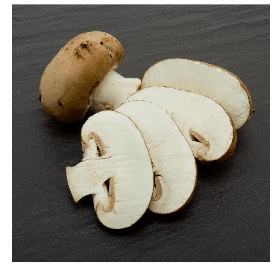 champignon