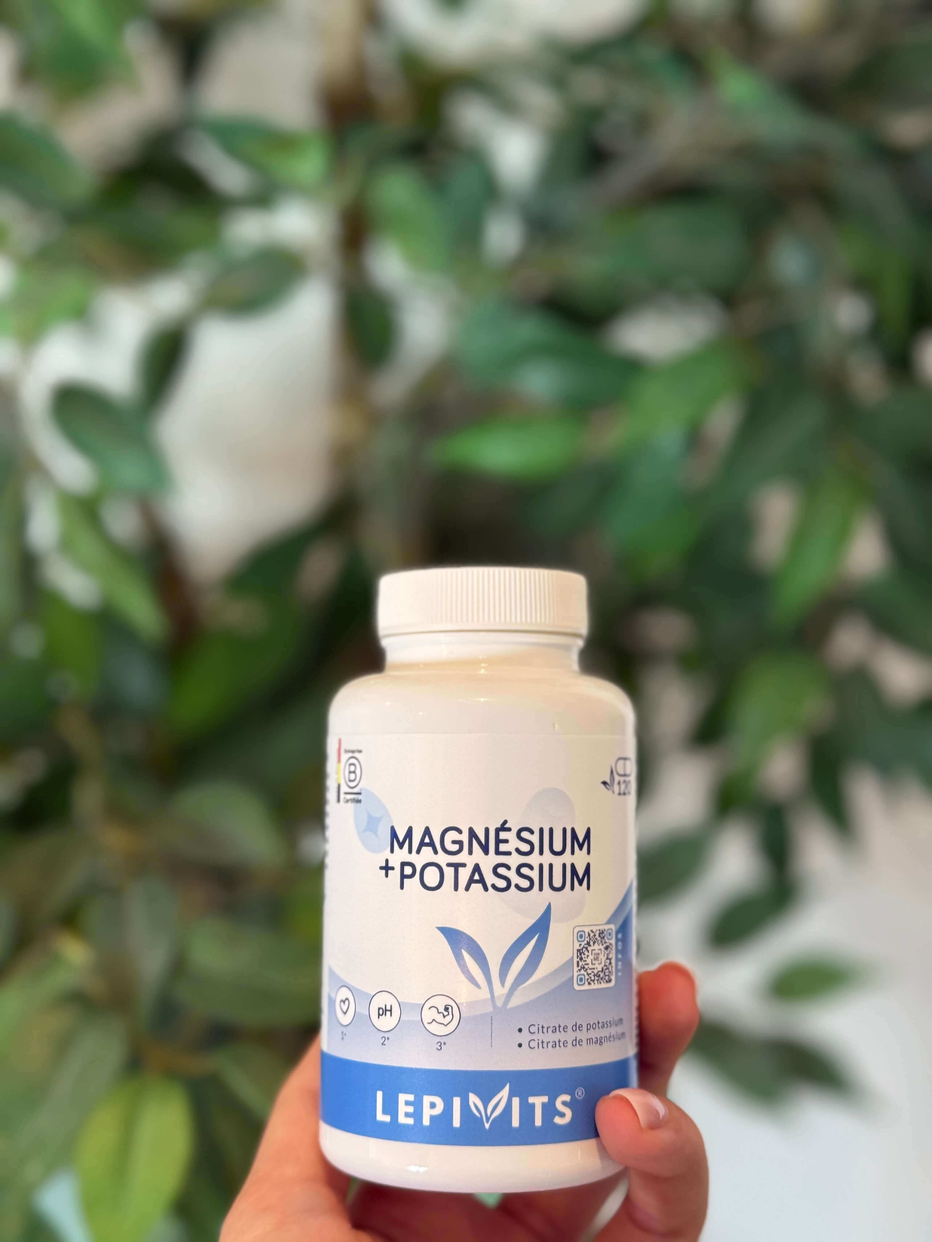 Magnésium-potassium
