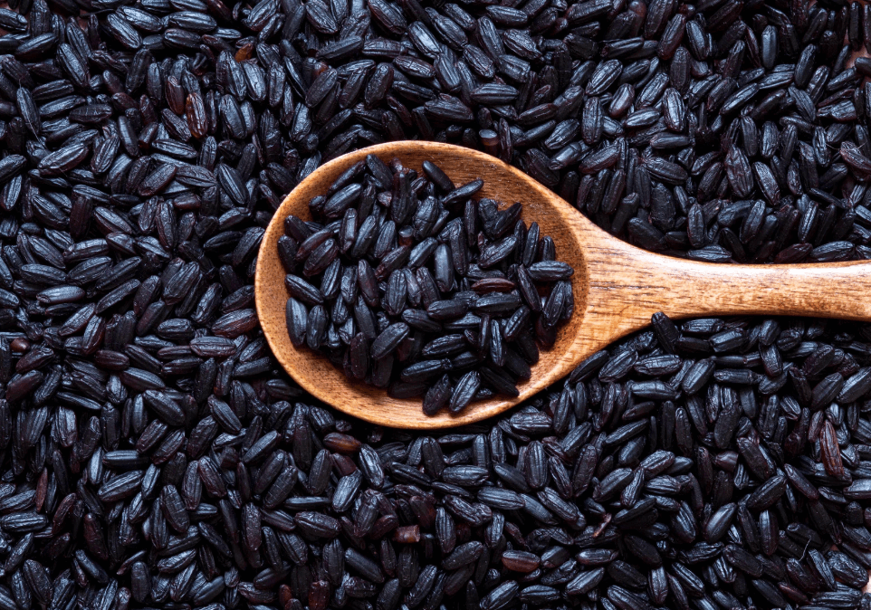 Sous quelle forme shilajit