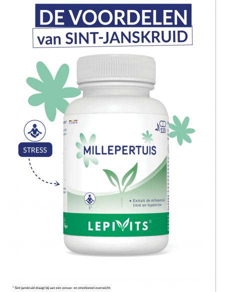 Voordelen van Sint-janskruid Voordelen van Sint-janskruid