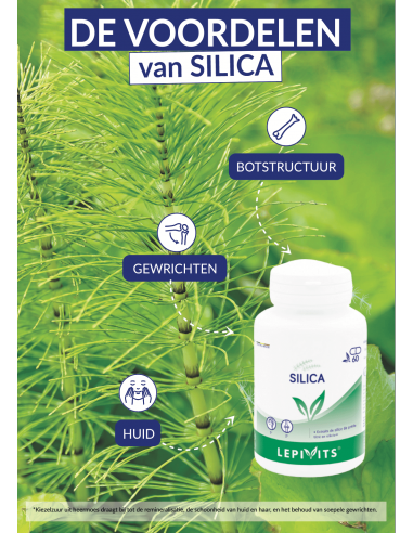 Voordelen Silica Voordelen Silica