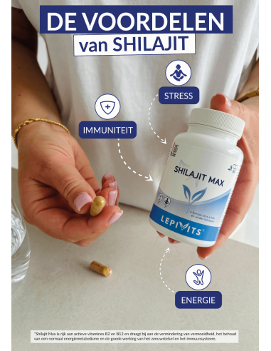 Voordelen van Shilajit