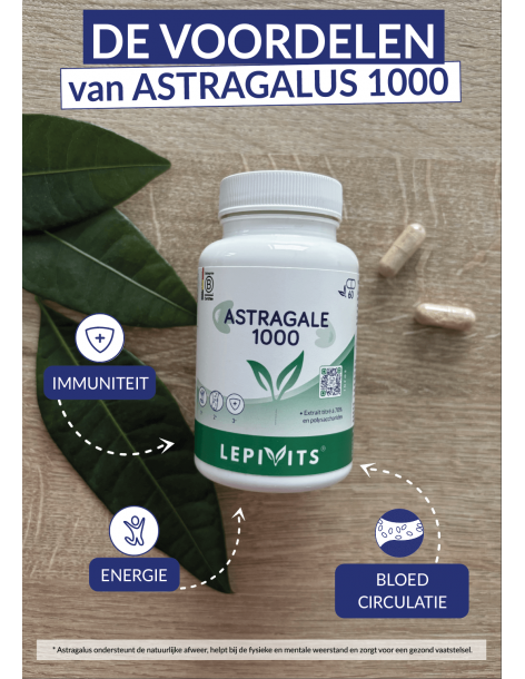 Astragale 1000 2