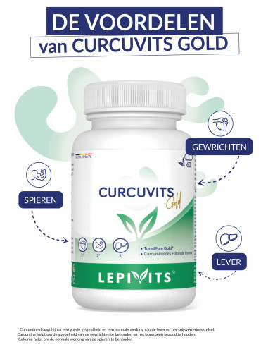 Hoog opneembare curcumine in capsules