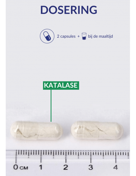 Dosering Katalase Dosering Katalase