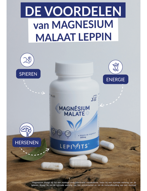60 capsules van magnesium malaat leppin 2